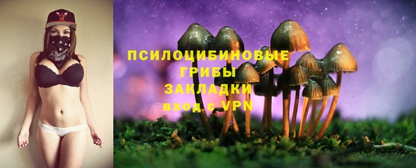 гидра Балабаново