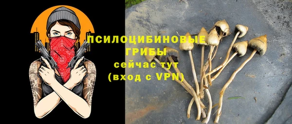 гидра Балабаново